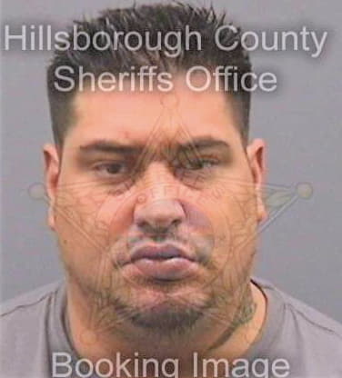 Latrique Jeangabriel - Hillsborough County, FL 