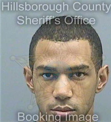 Dobbins John - Hillsborough County, FL 