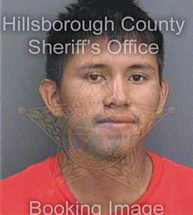 Gomez-Garcia Doneli - Hillsborough County, FL 