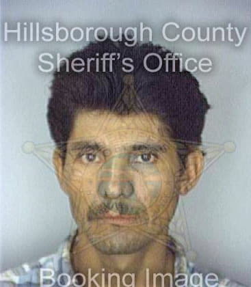 Gonzalez Alexander - Hillsborough County, FL 