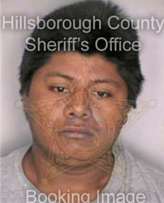 Mendez Vilmerchu - Hillsborough County, FL 
