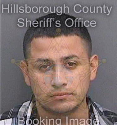 Castro Daniel - Hillsborough County, FL 