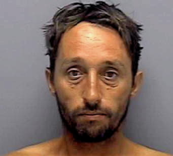 Steinard Wayne - Lee County, FL 