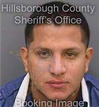 Crisanto Andy - Hillsborough County, FL 