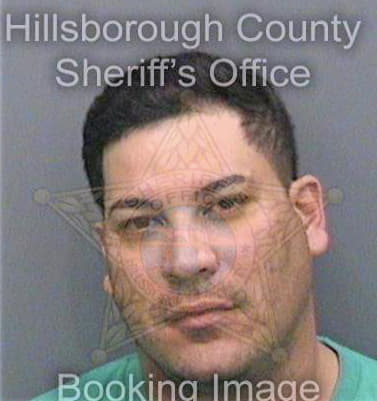 Garcia Kervin - Hillsborough County, FL 