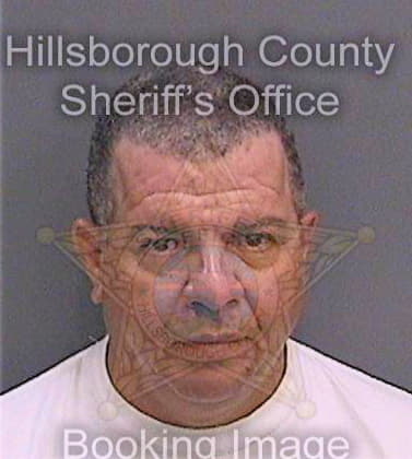 Gomezolsen Luis - Hillsborough County, FL 