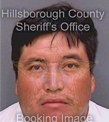 Perezjimenez Santos - Hillsborough County, FL 