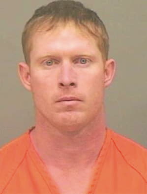 Mcelwee Sean - Montgomery County, TN 