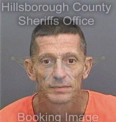 Salenske Scott - Hillsborough County, FL 