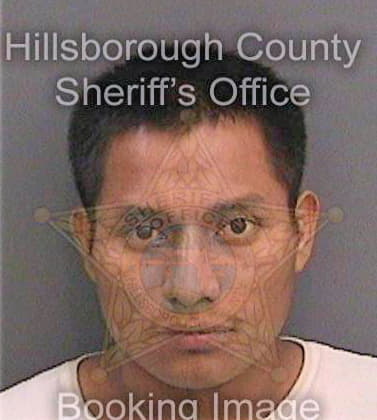 Jimenezjimenez Andres - Hillsborough County, FL 