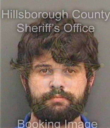 Levy David - Hillsborough County, FL 