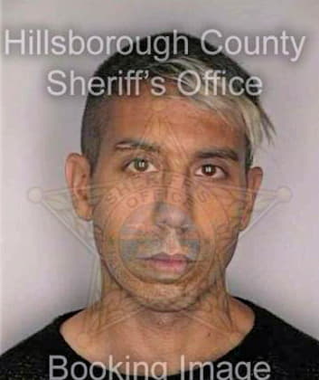 Carrillo Michael - Hillsborough County, FL 