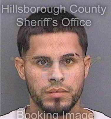 Medinapadilla George - Hillsborough County, FL 