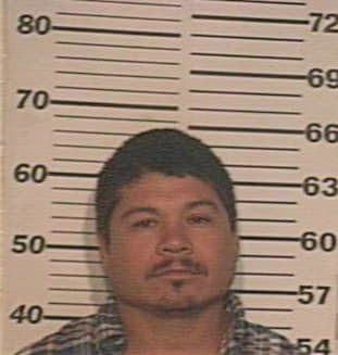 Sanchez Mario - Hidalgo County, TX 