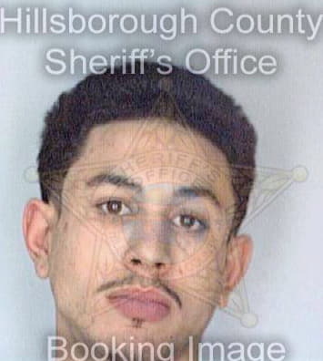 Gomez Candido - Hillsborough County, FL 