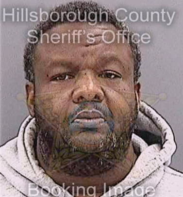Mclean Cecil - Hillsborough County, FL 