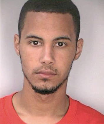 Santiago Luis - Hillsborough County, FL 