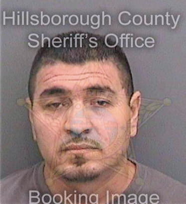 Villasenorgarcia Sergio - Hillsborough County, FL 