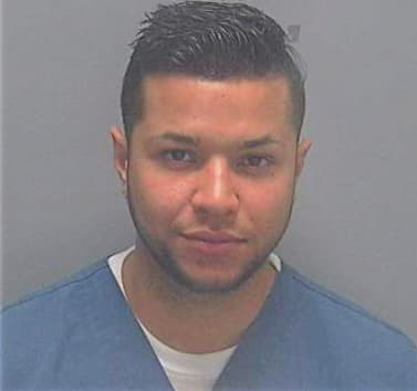 Soto Miguel - Lee County, FL 