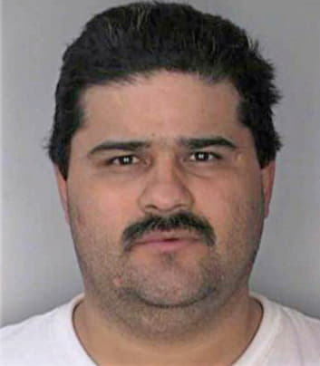 Ramarez Armando - Hillsborough County, FL 