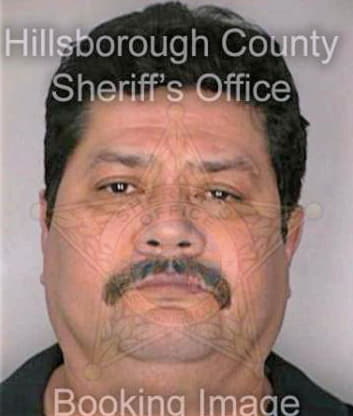 Melendez Bolivar - Hillsborough County, FL 