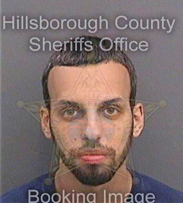 Gonzalez Michael - Hillsborough County, FL 