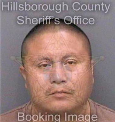 Ramirezdiaz Roberto - Hillsborough County, FL 