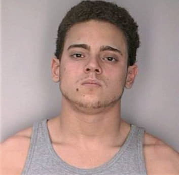 Salas Michael - Hillsborough County, FL 