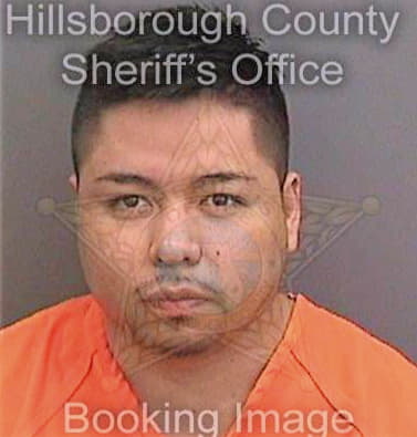 Sanchez Josue - Hillsborough County, FL 