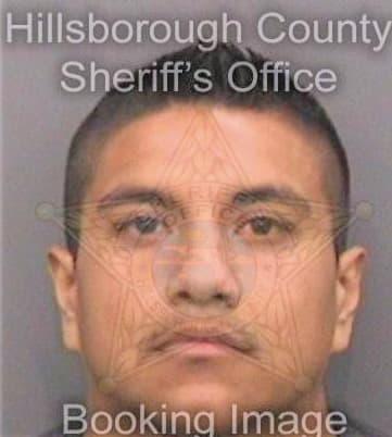Mezabenitez Ivan - Hillsborough County, FL 