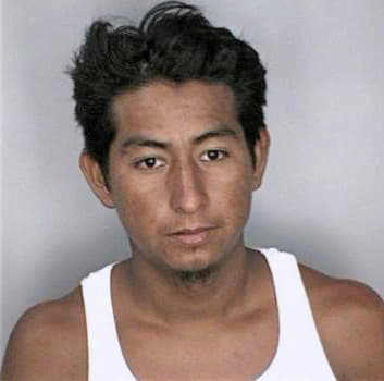 Mendozaortega Jorge - Hillsborough County, FL 