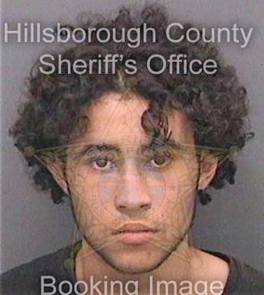 Jimenez Raiko - Hillsborough County, FL 