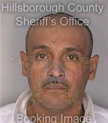 Mendoza Wilfredo - Hillsborough County, FL 