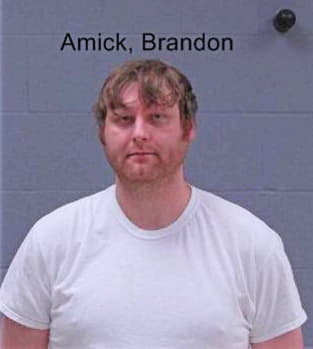Amick Brandon - BlueEarth County, MN 
