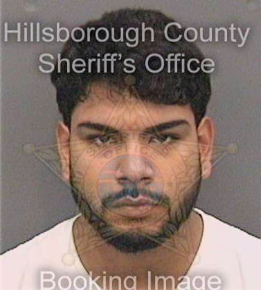 Linares Joshua - Hillsborough County, FL 