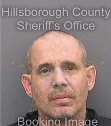 Ortiznegron Rene - Hillsborough County, FL 