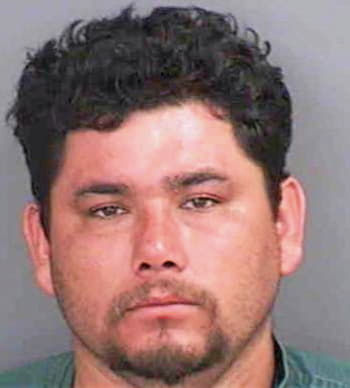 Rosales Alonso - Collier County, FL 
