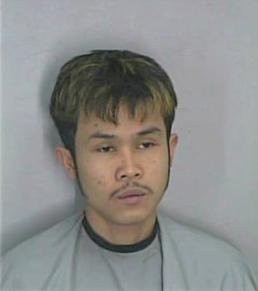 Hoang Vu - Dekalb County, GA 