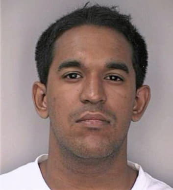 Mcdaniel Ryan - Hillsborough County, FL 