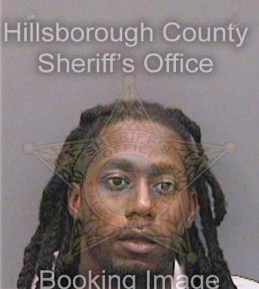 Johnson Demetrius - Hillsborough County, FL 