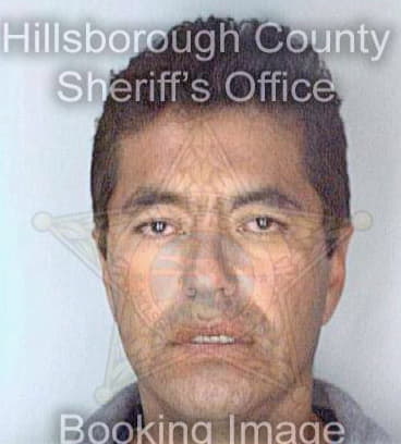 Gonzalez Jose - Hillsborough County, FL 