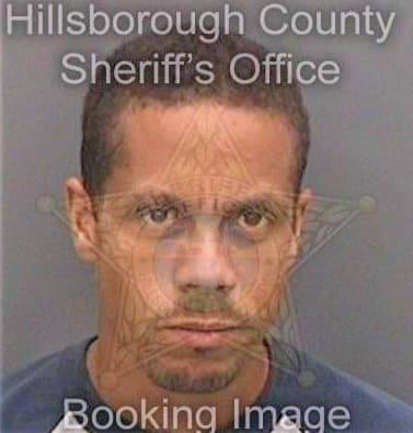 Navarrohernandez Delio - Hillsborough County, FL 