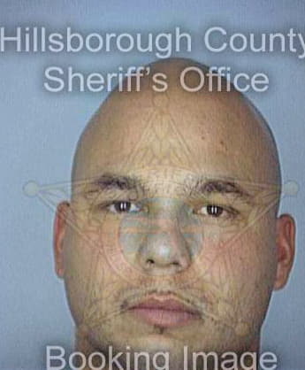 Feliciano Elias - Hillsborough County, FL 