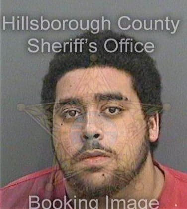 Brunson David - Hillsborough County, FL 