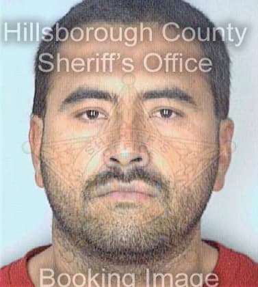 Sanchez Juan - Hillsborough County, FL 