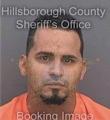 Castrolinares Jose - Hillsborough County, FL 