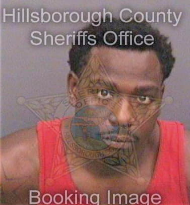 Bradley Jermichael - Hillsborough County, FL 