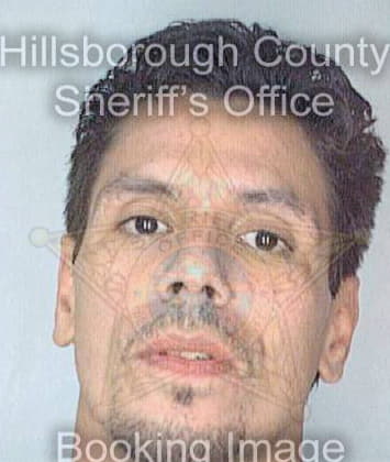 Ortiz Luis - Hillsborough County, FL 