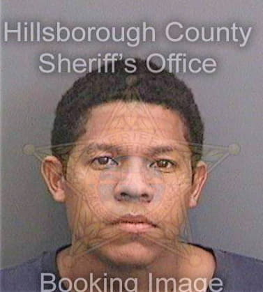 Diaz Bolivar - Hillsborough County, FL 