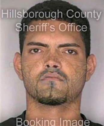 Oquendo Juan - Hillsborough County, FL 